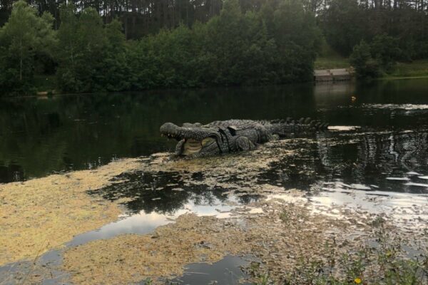 @Tim Gasnier 2 copie