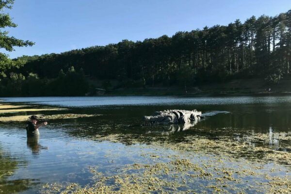 crocodile teatime copie