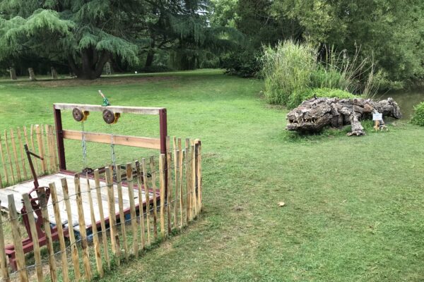 Crocodile jardin des arts 2025.2