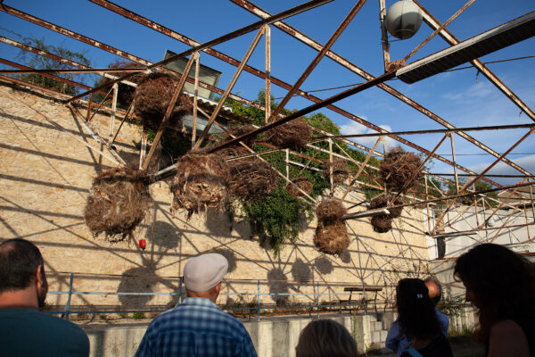 Photo ©PaulineMonnet